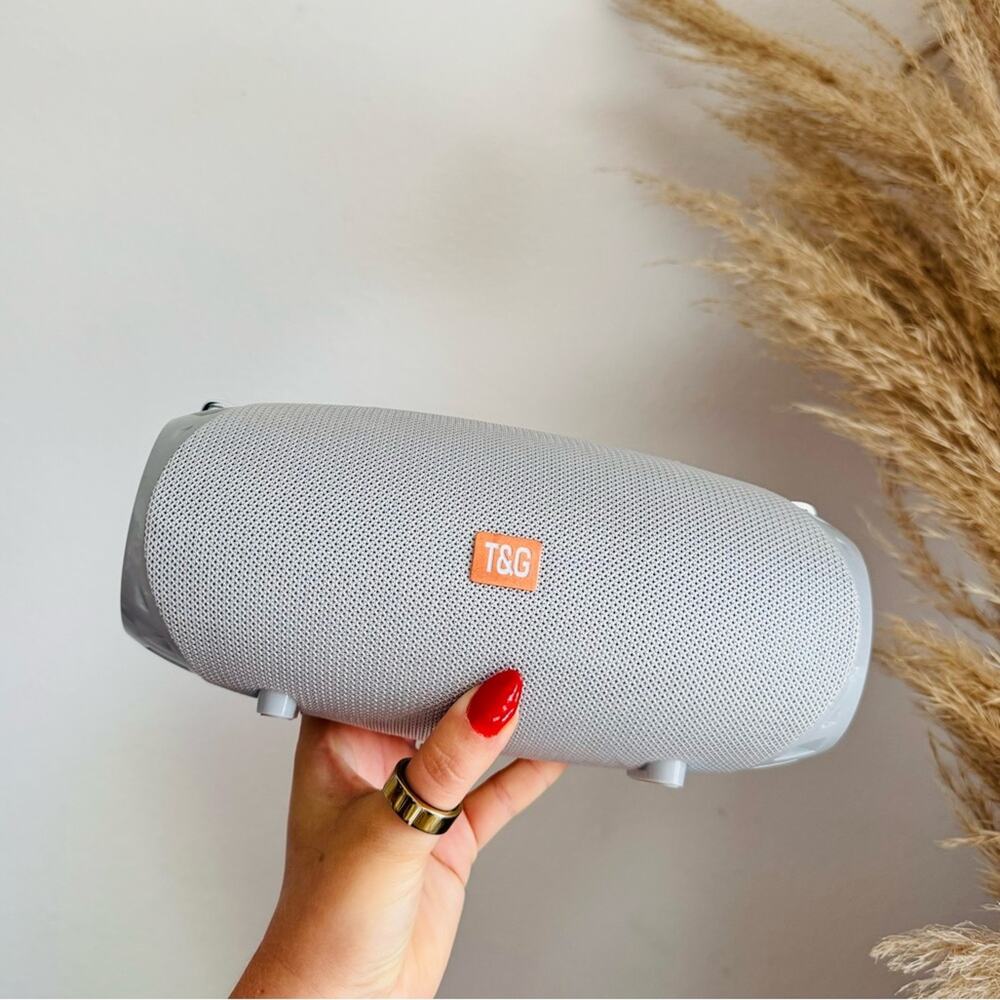TG Silver Grey Portable Wireless Dual Bluetooth Travel AUX Waterproof Speaker
